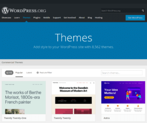 WordPress Themes